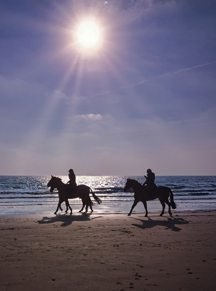 Sea Ride - Ian Bancroft